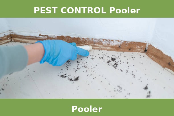PEST CONTROL Pooler